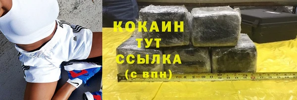 амф Бородино