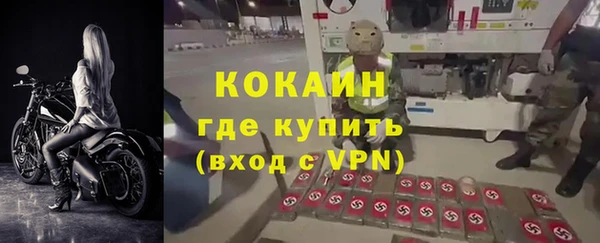дживик Богородицк