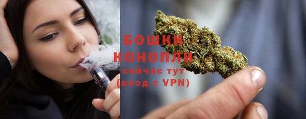 дживик Богородицк