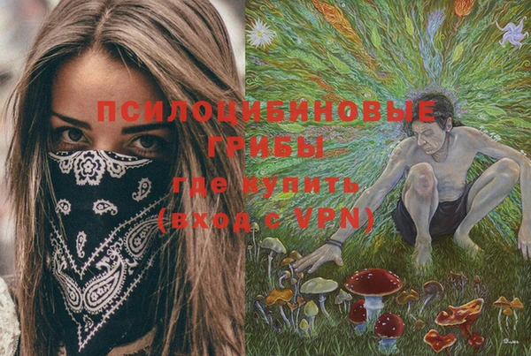 дживик Богородицк
