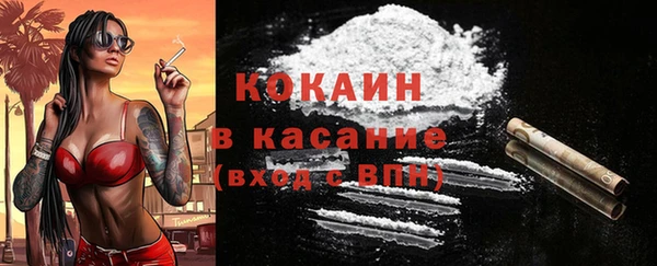 дживик Богородицк