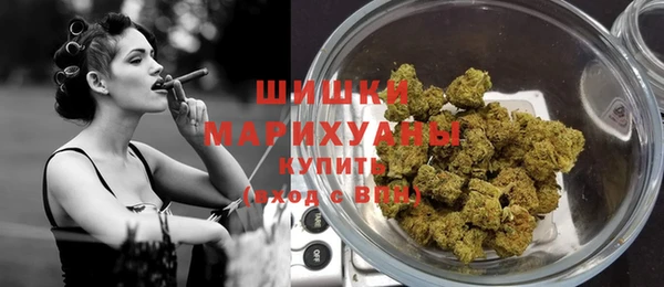 дживик Богородицк