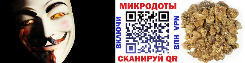 Псилоцибиновые грибы Psilocybe  Купить закладки  Гулькевичи 